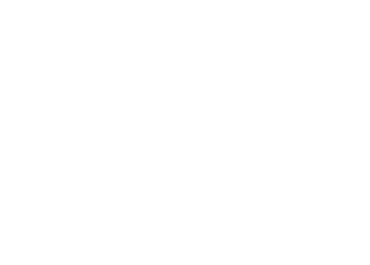 2010 Bathurst logo_white
